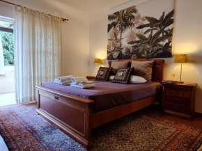 Apartment T3 - Frei Joao - Pleasant and cozy